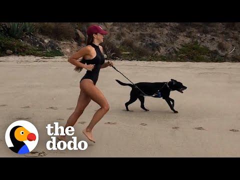 Dog Has Been Running In Circles For Four Years #Video