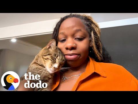 Woman Asks God For A Man But Gets A Clingy Cat #Video