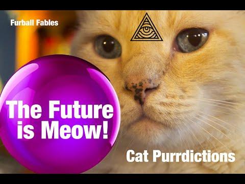 Cat Purrdictions 2020 - The Future is Meow