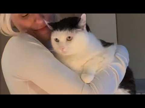 Dumped senior cat with 'no hope in her eyes' is loved again #Video