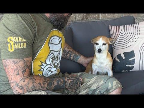 Family gets surprise visitor after dog passes #Video