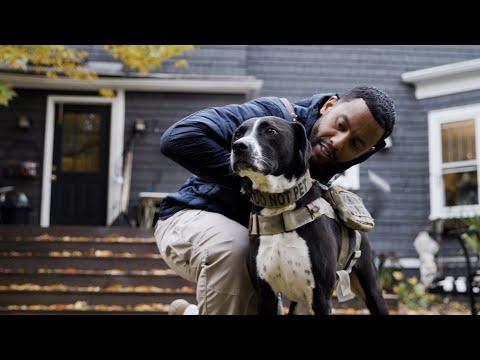 Veteran and Loyal Pup Save Each Other #Video