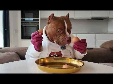 3 Eggs, Only 1 Real #Video