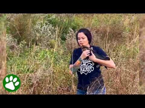 Woman Steps Into Gator-Infested Wetland to Save a Life