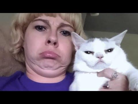 Woman brings home a cat. And discovers she hates everyone. #Video