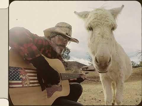 Donkey named Heaven loving old songs #Video