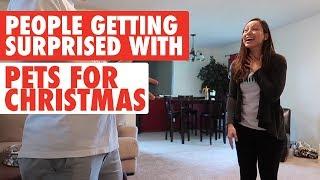 Best Gift EVER | People Surprised with Pets for Christmas