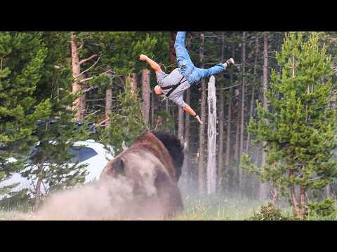 Craziest Animal Encounters on the Internet | OUR Daily Dose of Internet #Video