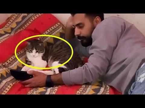 Love at First Meow: When your boyfriend fell for the Cat #Video