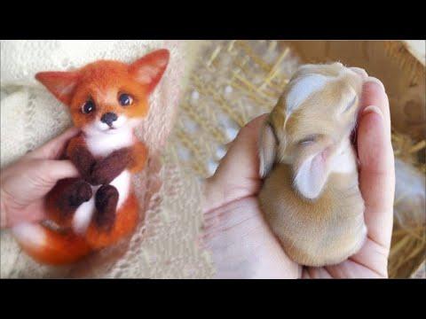 Cutest baby animals Videos Compilation Cute moment of the Animals - Cutest Animals 2021