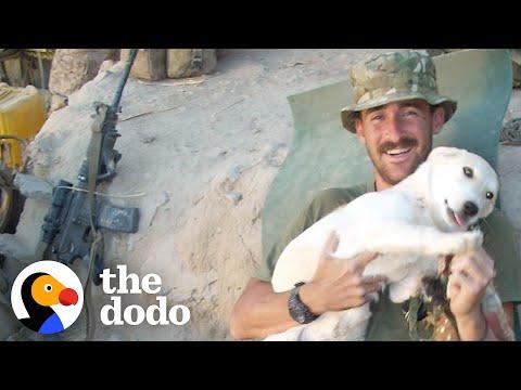 Guy Meets His Soul Dog On The Battlefield In Afghanistan #Video