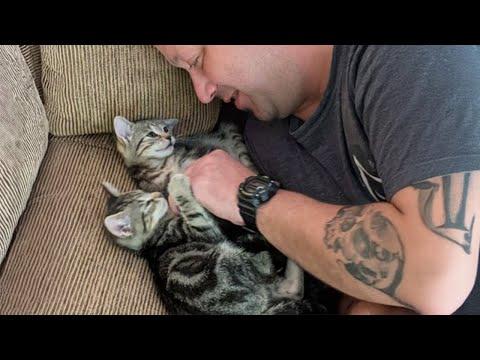 When your big man falls in love with a tiny cat #Video