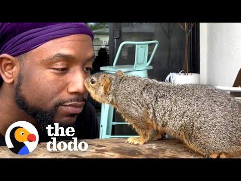 Guy Is The Best Friend A Squirrel Could Have #Video