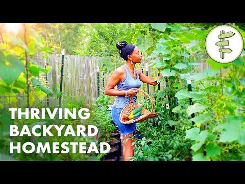 Woman's Incredible Backyard Homestead Produces TONS of Food for Her Family – URBAN GARDEN TOUR #Vide