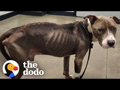 Skinny Pittie Transforms With Little Girl's Help #Video