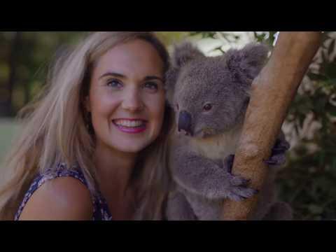 Girls play with Koalas, Kangaroos, Meerkats, Red Pandas, Monkeys and Lemurs.