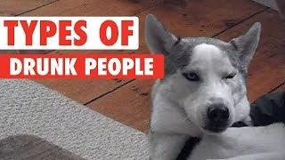 8 Types of Drunk People As Told By Pets