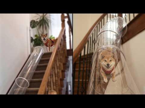 This Dog Is Obsessed With His Indoor Slide #Video