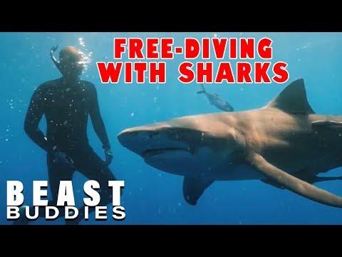 Young Couple Free-Dive With Sharks | BEAST BUDDIES