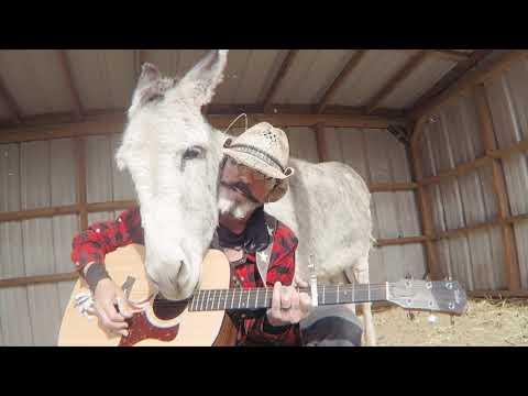 This donkey has a crazy reaction to this song #Video