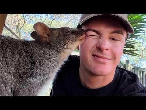 When Animals Choose You as Their Favorite Person #Video