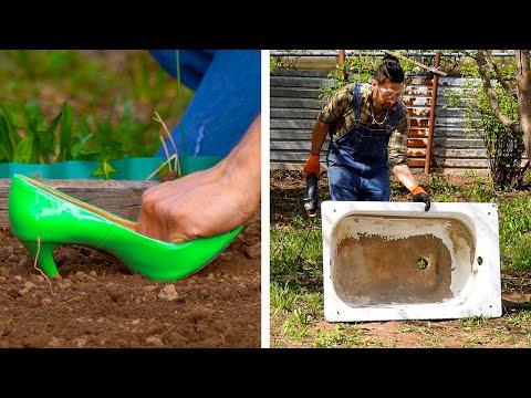 Amazing plant hacks for every home gardener #Video