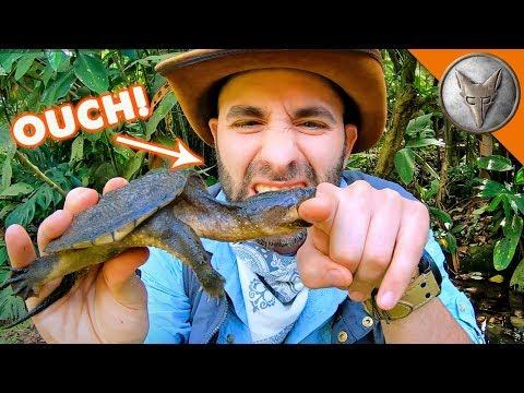 Snapping Turtle BITES Me.. AGAIN!