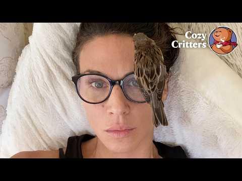 She Saved a Little Bird, and Now He Won't Leave Her Alone #Video