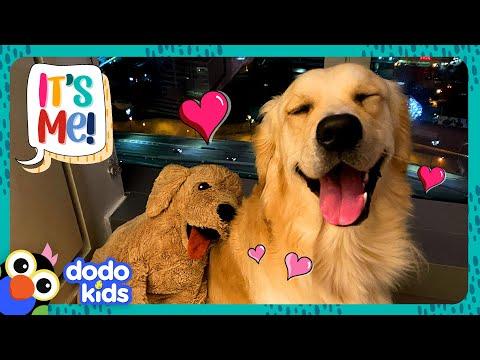 Pup Gets A GIANT Surprise That Looks Just Like Him! | Dodo Kids #Video