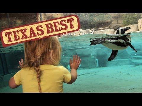 Texas Best - Zoo (Texas Country Reporter)