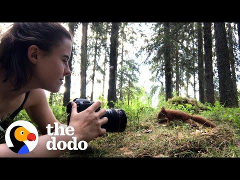 Girl Raises Four Orphaned Baby Red Squirrels In The Middle Of The Forest #Video