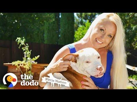 The Story of How a Pit Bull Changed His Mom's Life Forever | The Dodo Pittie Nation