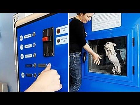 The Most Unusual Vending Machines That Will Blow Your Mind
