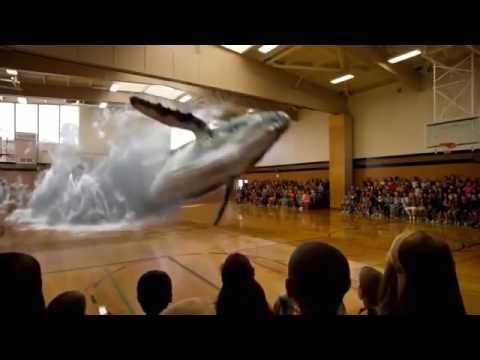 incredible 7D hologram   Funny Vine   Whale 7D image   Vines 2016 2