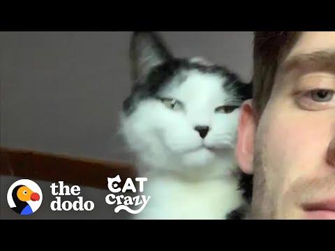 Cat And His Dad Are Obsessed With Each Other | The Dodo Cat Crazy