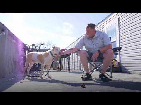 Loyal Pup Helps Veteran’s Family Grow Stronger #Video