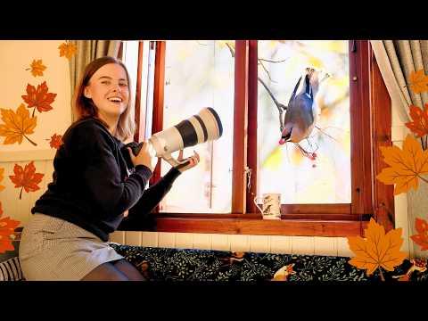 This Is Why I LOVE Living in Northern Sweden #Video