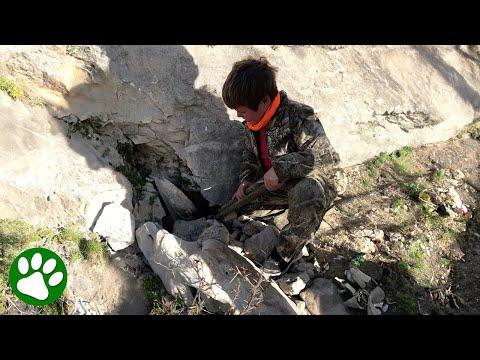 Family hears cries coming from under rock #Video