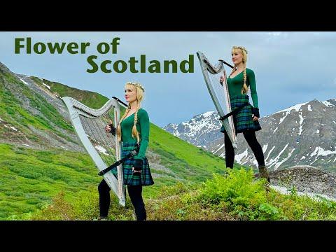 Flower of Scotland - Harp Twins #Video