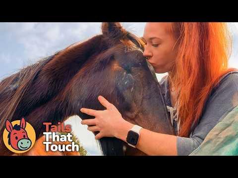 I Went To An Auction To Help A Horse. I Wasn't Ready For What I Found. #Video