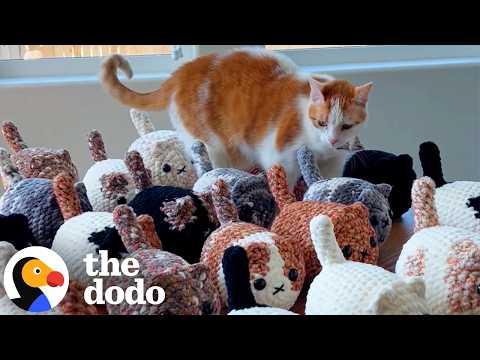 Nervous Cat LOVES To Crochet With Her Mom Now #Video
