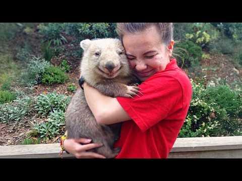 When Humans and Animals Understand Each Other's Love Language #Video