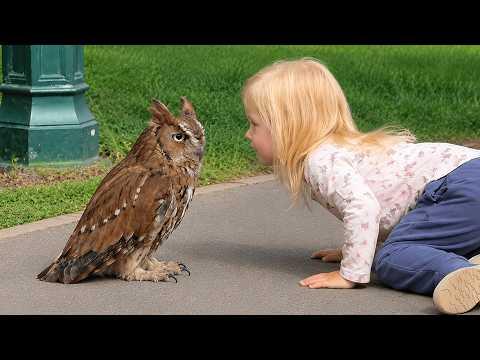 Owls Are WAY Funnier Than You Think #Video