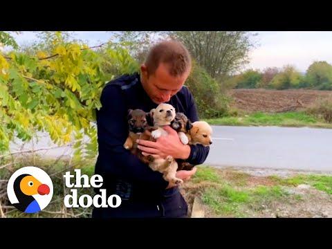 Guy Sees Puppies Dumped On Busy Highway #Video