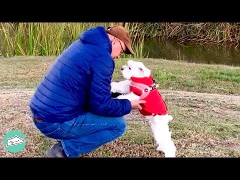 Man Used to Hate Dogs. Now This Fluff Rules His Life #Video