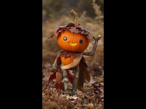 Lord Gourdon #Video