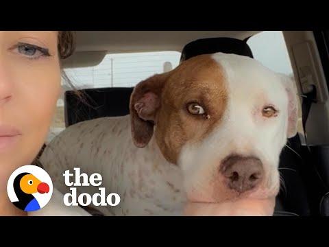 Skinny Pittie Is The Most Handsome Chunk A Year Later #Video