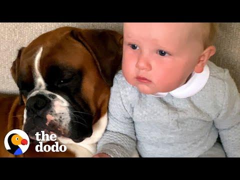 Woman Adopts A Puppy And Finds Out She's Pregnant On The Same Day #Video