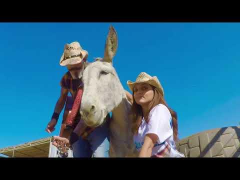 Donkey named Hazel has her own song and Loves it #Video