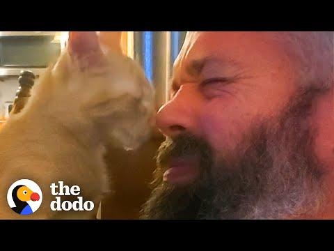 Tiny Abandoned Kitten Chooses His New Family Video